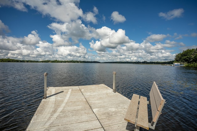 1634 Golden Dr SW, Alexandria, MN 56308 - photo 56