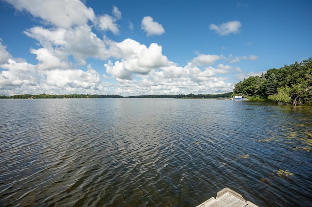 1634 Golden Dr SW, Alexandria, MN 56308 - photo 57