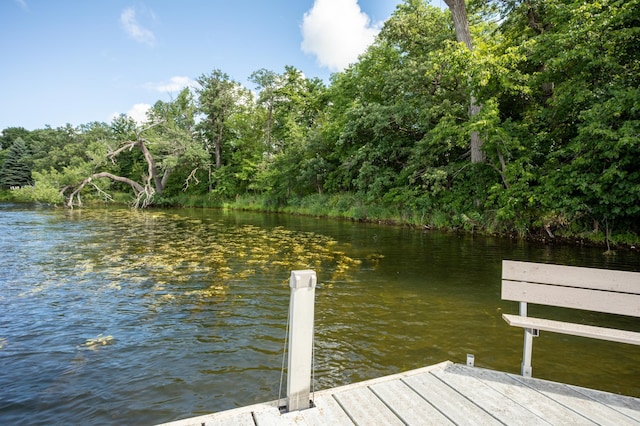 1634 Golden Dr SW, Alexandria, MN 56308 - photo 58