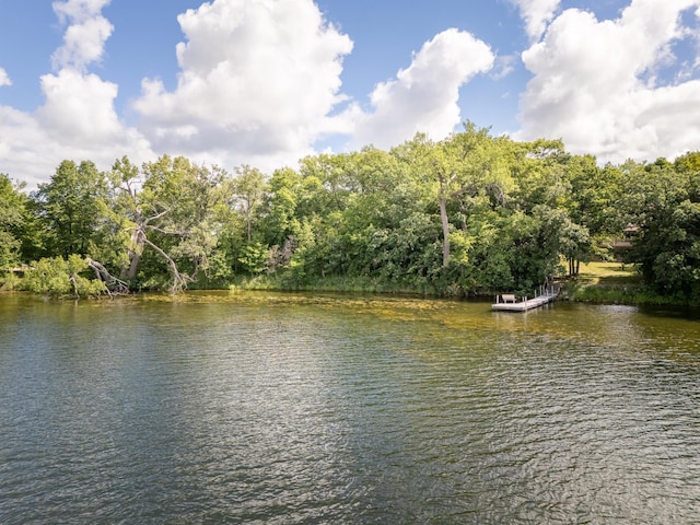 1634 Golden Dr SW, Alexandria, MN 56308 - photo 76