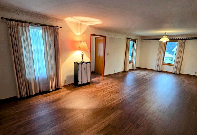808 5th St SW, Pipestone, MN 56164 - empty room featuring plenty of natural light and dark wood-style flooring