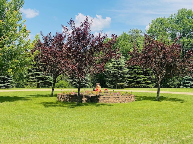 31134 170th St, Detroit Lakes, MN 56501 - photo 45