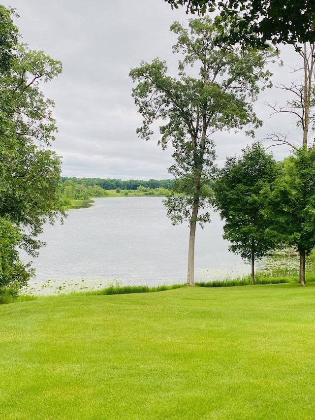 31134 170th St, Detroit Lakes, MN 56501 - photo 69