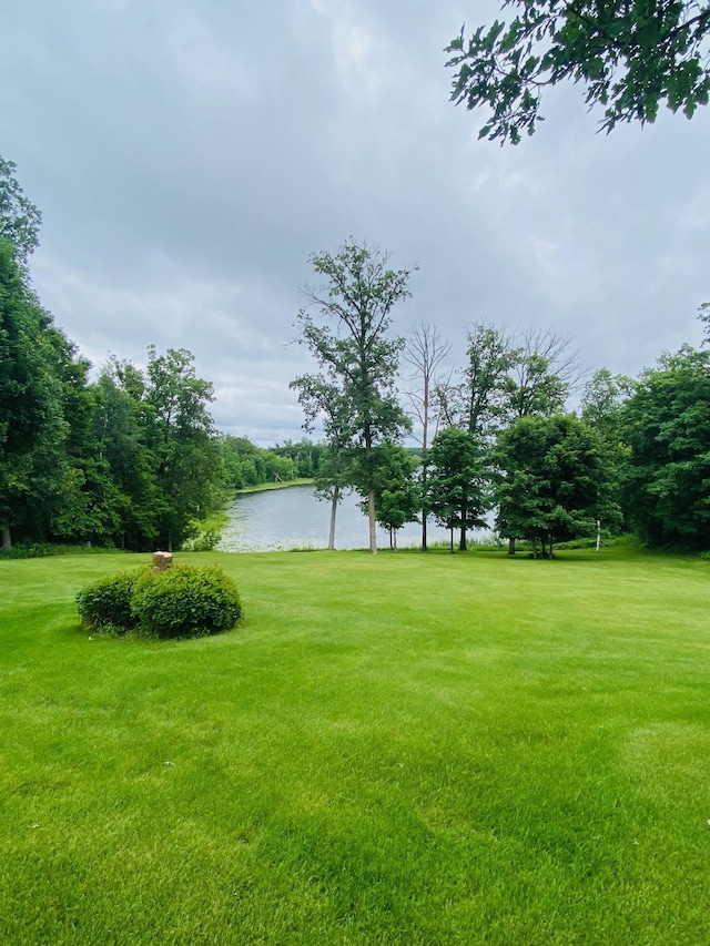31134 170th St, Detroit Lakes, MN 56501 - photo 70
