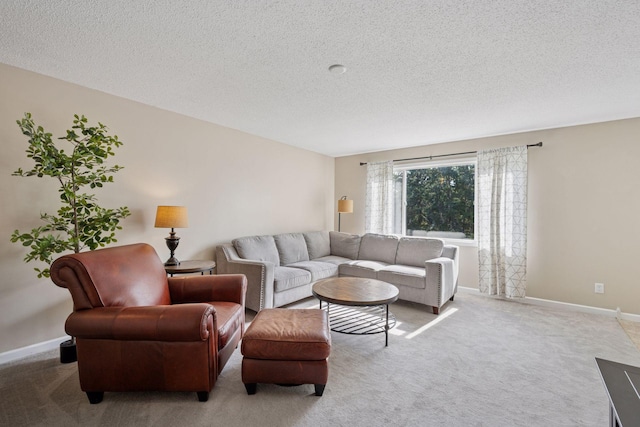 6520 Nathan Ln N, Maple Grove, MN 55369 - carpeted living area with a textured ceiling