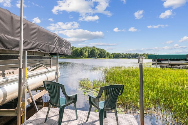51122 Long Point Pl, Mcgregor, MN 55760 - dock featuring boat lift and a water view