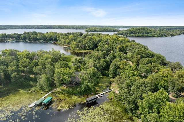 51122 Long Point Pl, Mcgregor, MN 55760 - aerial view of a large body of water