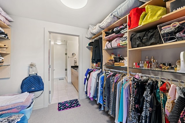 215 10th Ave S Unit 112, Minneapolis, MN 55415 - walk in closet with carpet floors and tile patterned floors