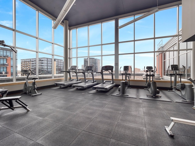 215 10th Ave S Unit 112, Minneapolis, MN 55415 - exercise room featuring a city view and a high ceiling
