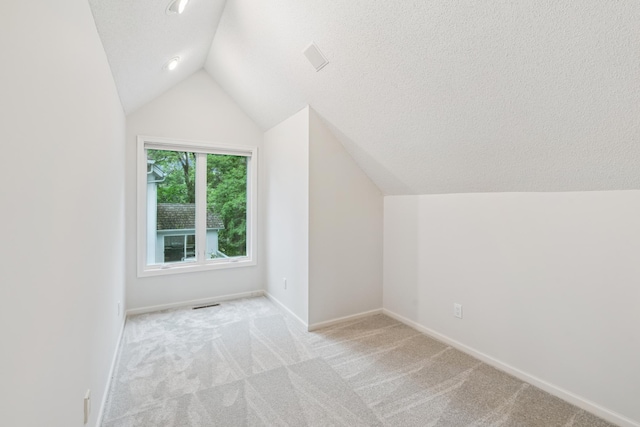 7005 Valley View Rd, Edina, MN 55439 - bonus room with lofted ceiling, light colored carpet, and a textured ceiling