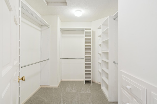 7005 Valley View Rd, Edina, MN 55439 - walk in closet featuring carpet