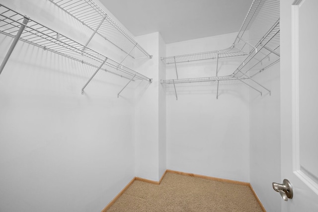 16391 Adret Ct, Eden Prairie, MN 55346 - spacious closet featuring light colored carpet