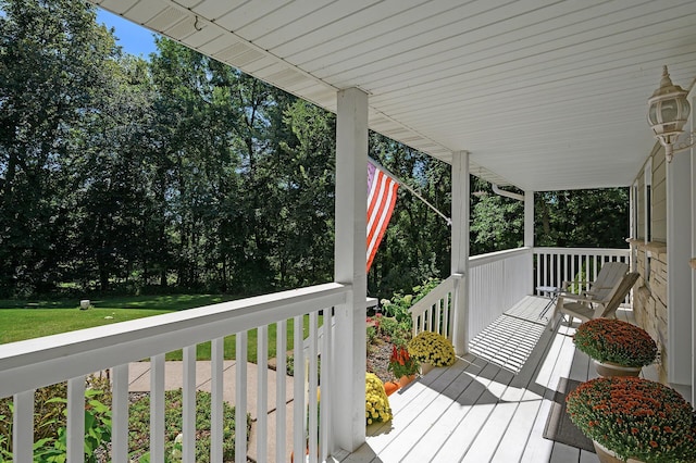27858 Nathan Ln, Chisago Lake Twp, MN 55045 - view of porch