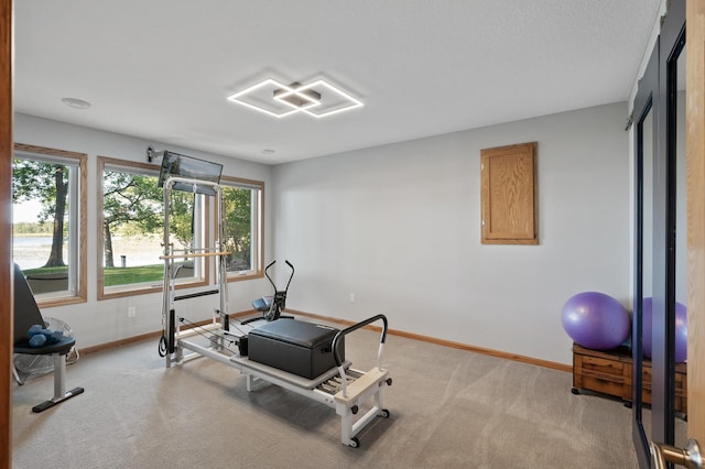 27858 Nathan Ln, Chisago Lake Twp, MN 55045 - workout room featuring light colored carpet