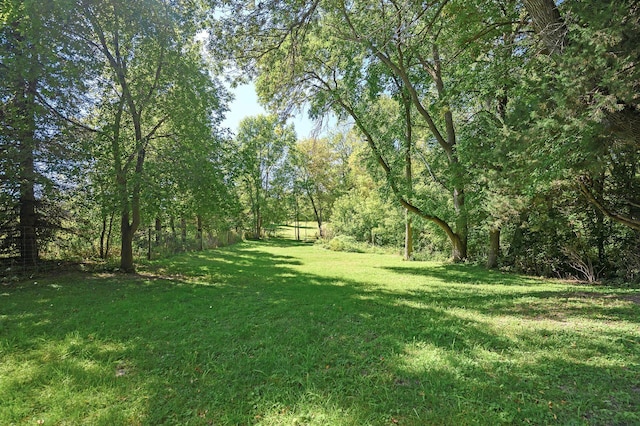 27858 Nathan Ln, Chisago Lake Twp, MN 55045 - view of green lawn