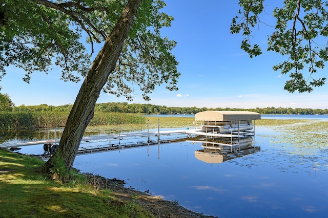 27858 Nathan Ln, Chisago Lake Twp, MN 55045 - dock featuring a water view, boat lift, and a view of trees