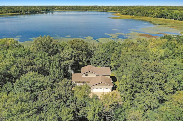 27858 Nathan Ln, Chisago Lake Twp, MN 55045 - aerial view of property and surrounding area featuring a nearby body of water