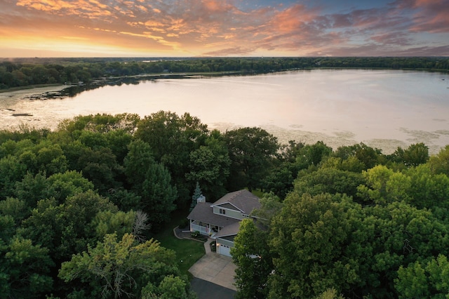 27858 Nathan Ln, Chisago Lake Twp, MN 55045 - aerial view of property and surrounding area with a nearby body of water