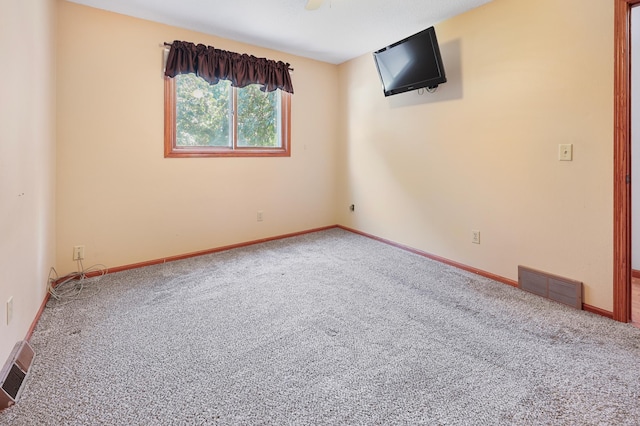 110 Vine St, Monticello, MN 55362 - photo 17