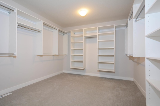 5120 Coronado Dr, Woodbury, MN 55129 - walk in closet with light carpet
