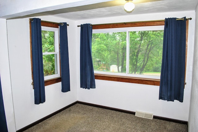 1015 Grove St, Brainerd, MN 56401 - spare room featuring carpet flooring and plenty of natural light