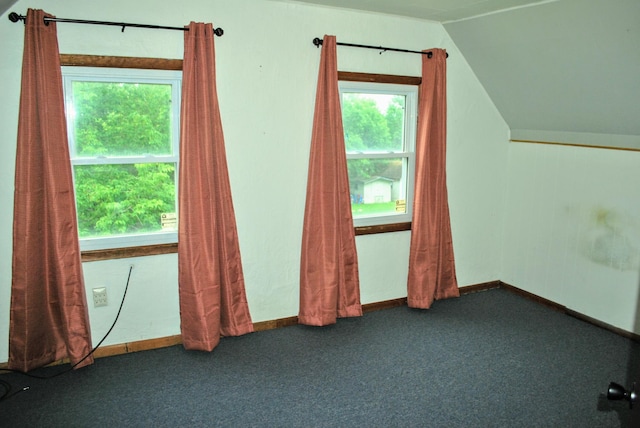 1015 Grove St, Brainerd, MN 56401 - bonus room featuring vaulted ceiling and carpet flooring