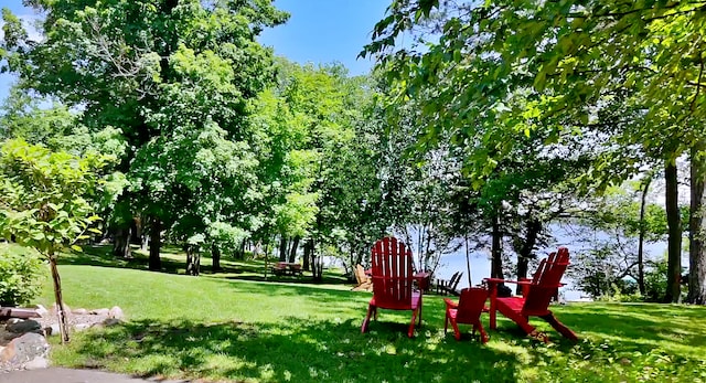 38985 337th Ln, Aitkin, MN 56431 - view of property's community with a lawn and a water view