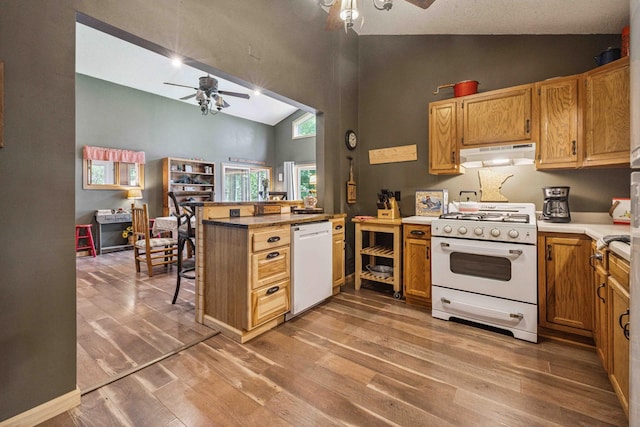 38985 337th Ln, Aitkin, MN 56431 - kitchen with a ceiling fan, white appliances, under cabinet range hood, high vaulted ceiling, and light wood-style flooring