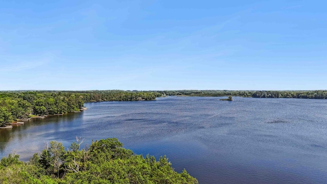38985 337th Ln, Aitkin, MN 56431 - water view with a heavily wooded area