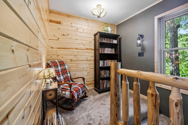 38985 337th Ln, Aitkin, MN 56431 - carpeted bedroom with wooden walls