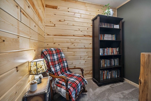 38985 337th Ln, Aitkin, MN 56431 - sitting room with wood walls and carpet