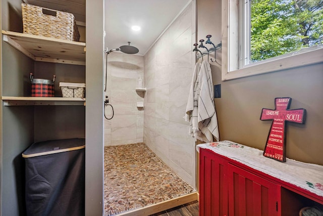 38985 337th Ln, Aitkin, MN 56431 - bathroom with tiled shower