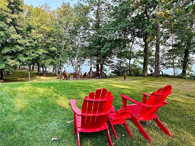 38985 337th Ln, Aitkin, MN 56431 - view of grassy yard