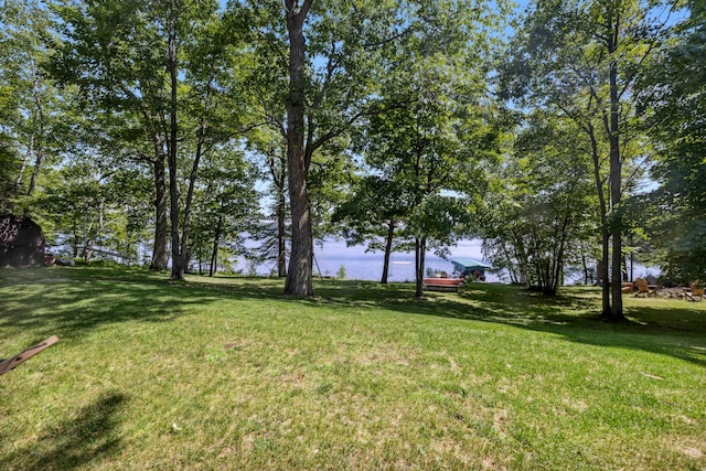 38985 337th Ln, Aitkin, MN 56431 - view of grassy yard