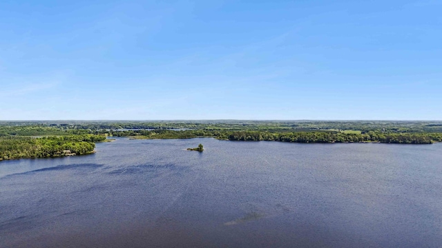 38985 337th Ln, Aitkin, MN 56431 - water view featuring a heavily wooded area
