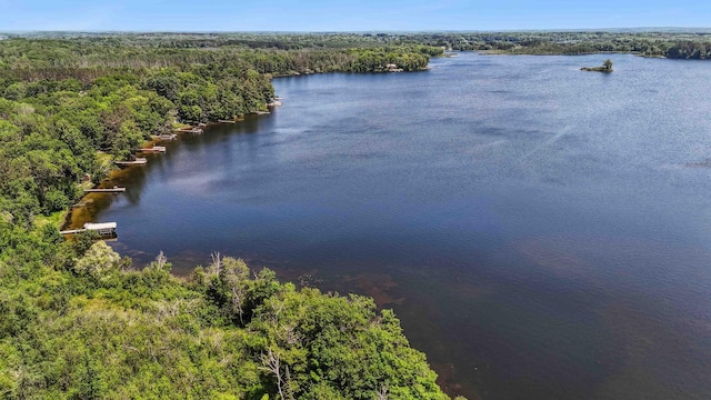38985 337th Ln, Aitkin, MN 56431 - water view with a heavily wooded area