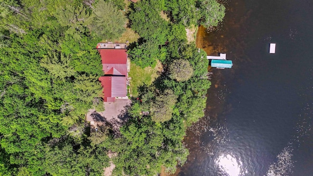 38985 337th Ln, Aitkin, MN 56431 - bird's eye view