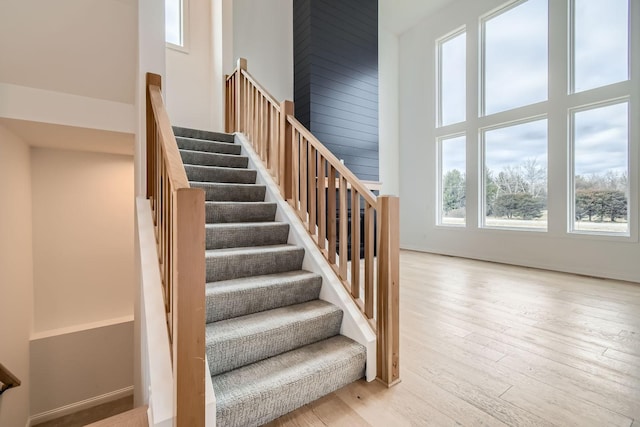 917 174th Ave NE, Ham Lake, MN 55304 - stairway with plenty of natural light, hardwood / wood-style floors, and a high ceiling