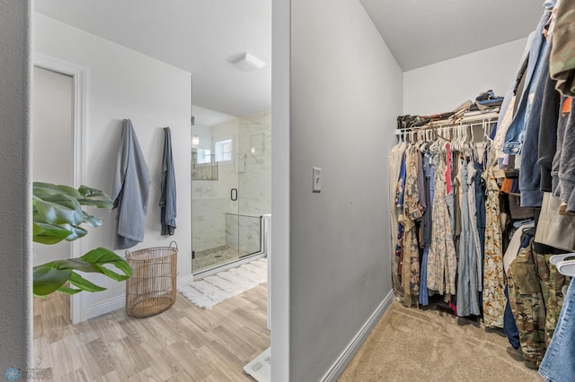 8871 Cottonwood Blvd, Horace, ND 58047 - walk in closet with wood finished floors
