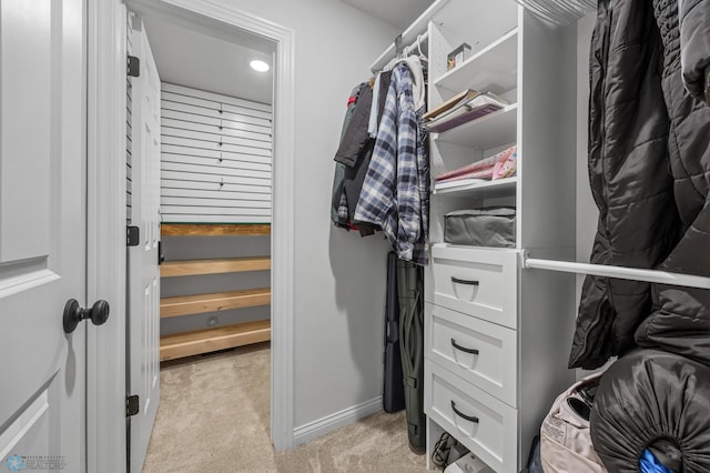 8871 Cottonwood Blvd, Horace, ND 58047 - spacious closet with light carpet