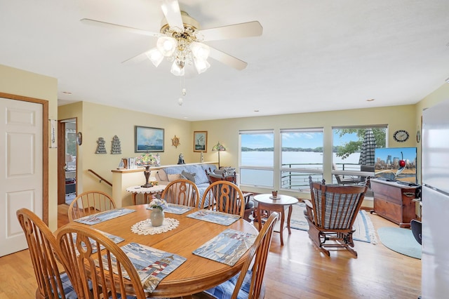 24301 Cedar Lake Dr, Helena Twp, MN 56071 - dining space featuring light wood-style floors and ceiling fan