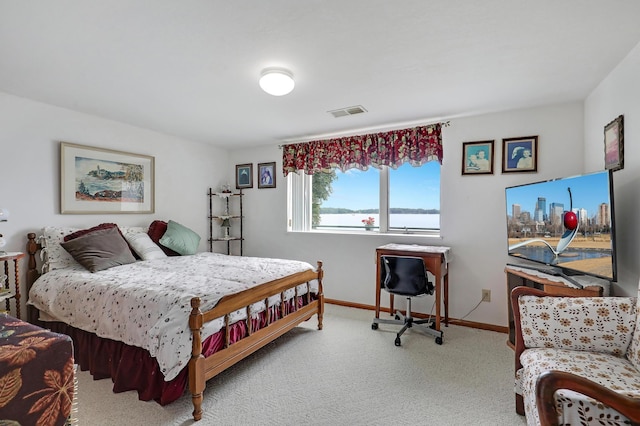 24301 Cedar Lake Dr, Helena Twp, MN 56071 - bedroom with baseboards and carpet floors