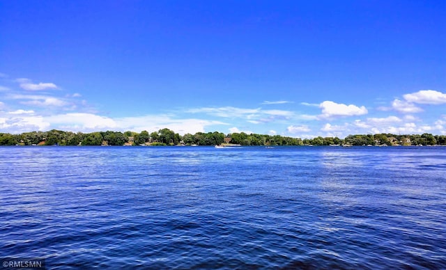 24301 Cedar Lake Dr, Helena Twp, MN 56071 - water view