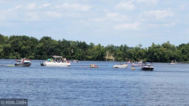 24301 Cedar Lake Dr, Helena Twp, MN 56071 - water view with a heavily wooded area