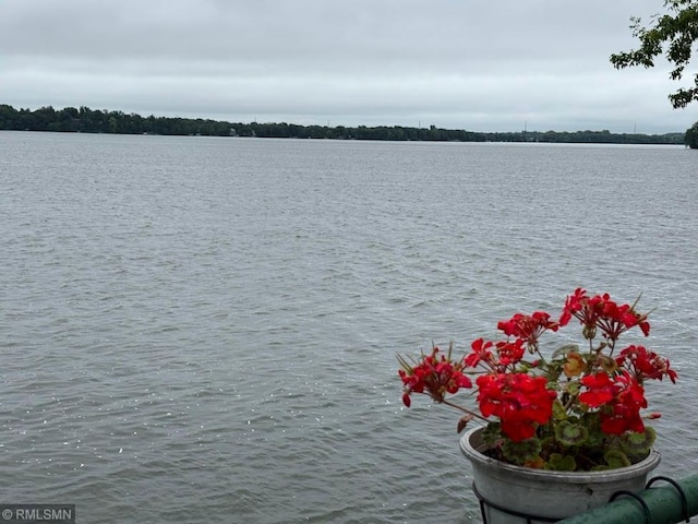 24301 Cedar Lake Dr, Helena Twp, MN 56071 - water view