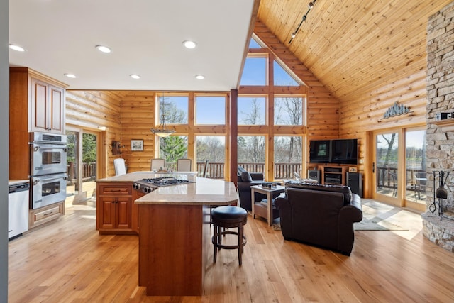 15193 Wilderness Trl, Crosslake, MN 56442 - kitchen featuring high vaulted ceiling, stainless steel appliances, a kitchen bar, light wood-style flooring, and open floor plan