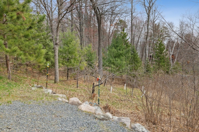 15193 Wilderness Trl, Crosslake, MN 56442 - view of yard