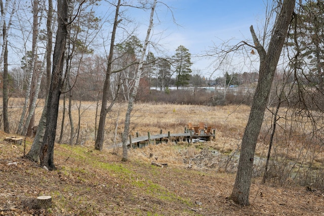 15193 Wilderness Trl, Crosslake, MN 56442 - view of yard with a dock