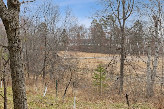 15193 Wilderness Trl, Crosslake, MN 56442 - view of nature