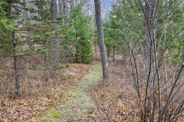 15193 Wilderness Trl, Crosslake, MN 56442 - view of tree filled area